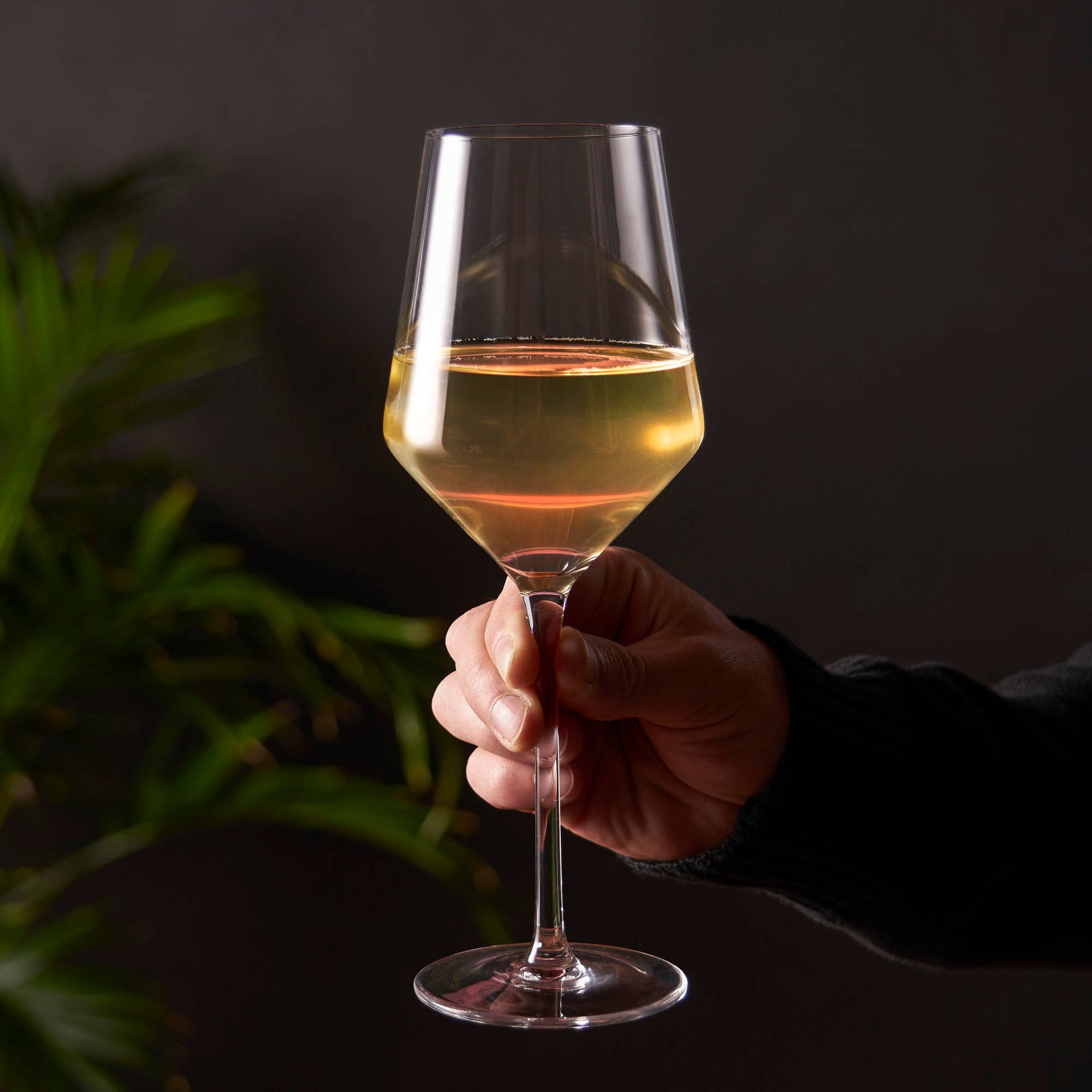 Angled Crystal Chardonnay Glasses Set of 2